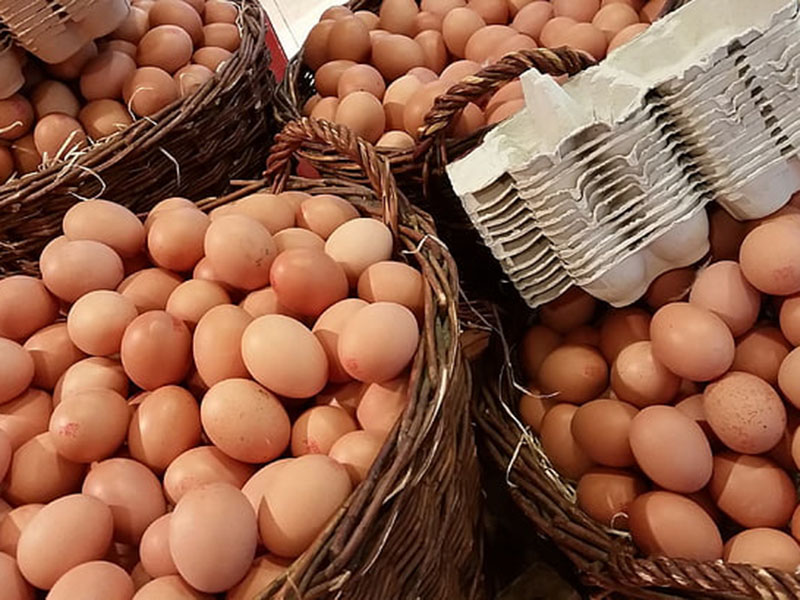 雞蛋藥物殘留檢測(cè)儀可用于禽蛋中的獸藥檢測(cè) 雞蛋藥物殘留檢測(cè)儀可用于禽蛋中的獸藥檢測(cè)