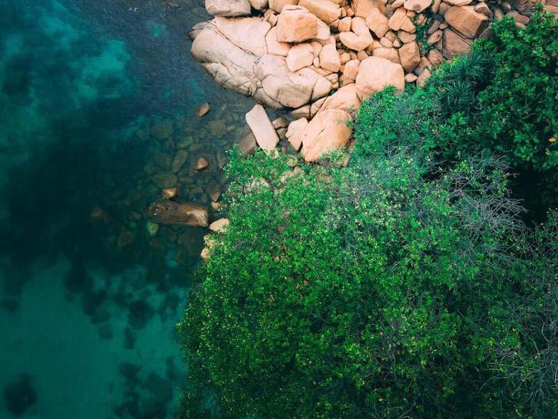 便攜式總磷檢測(cè)儀怎么使用