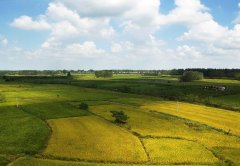 土壤水分測定儀實現(xiàn)農(nóng)業(yè)精細(xì)化發(fā)展